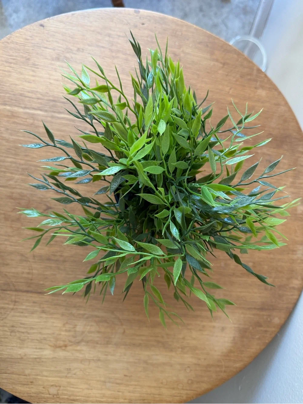 IKEA Fejka Artificial potted plant, indoor/outdoor House bamboo